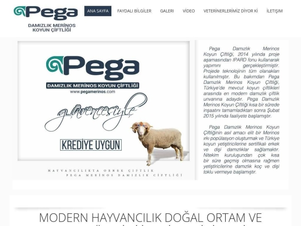 pegamerinos.com